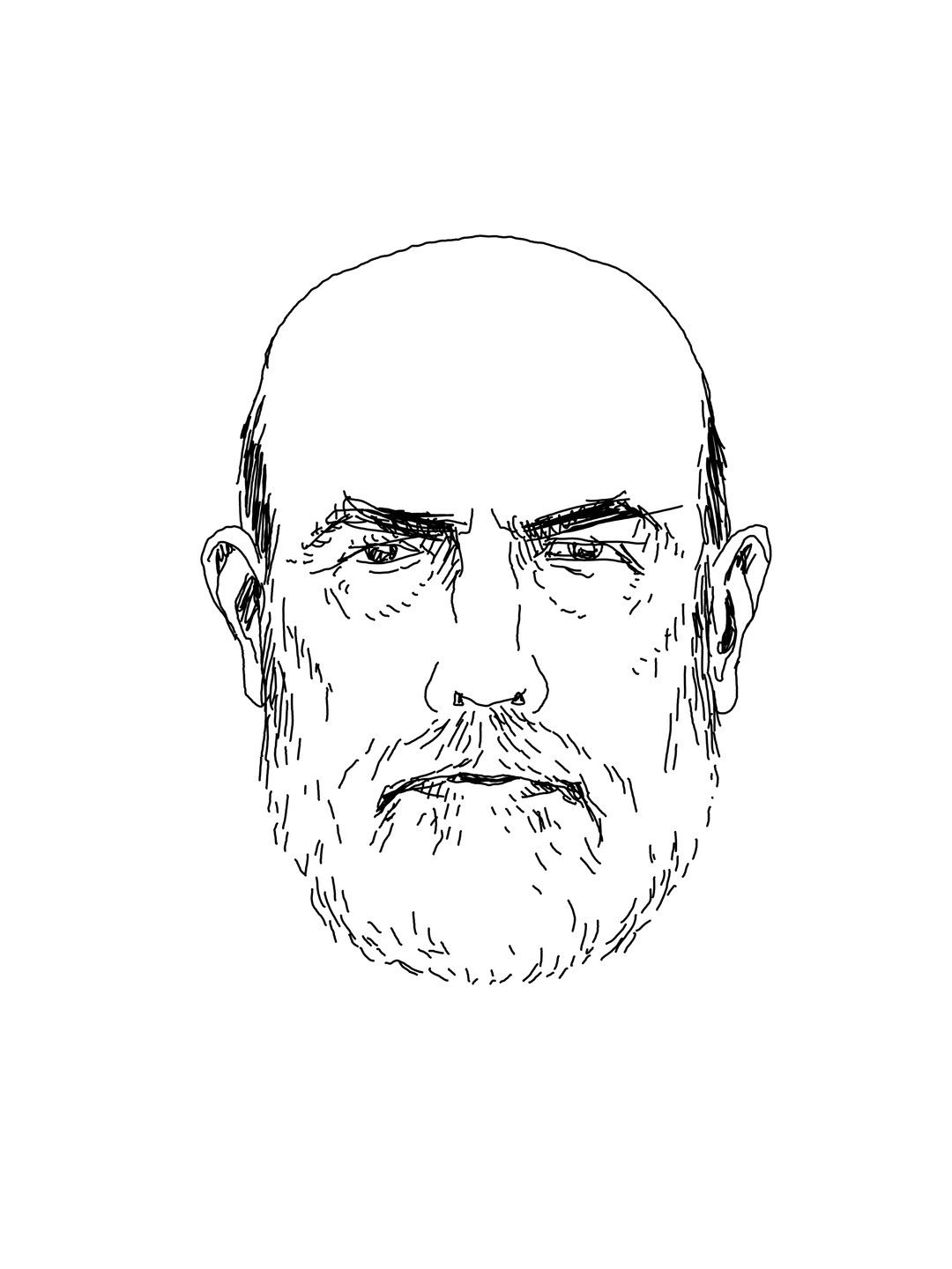 portrait of a person